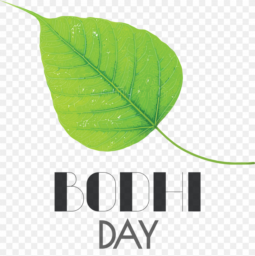 Bodhi Day Bodhi, PNG, 2992x3000px, Bodhi Day, Biology, Bodhi, Green, Leaf Download Free