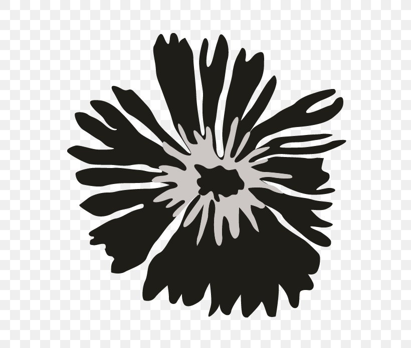 Chrysanthemum White, PNG, 696x696px, Chrysanthemum, Black And White, Chrysanths, Daisy Family, Flora Download Free