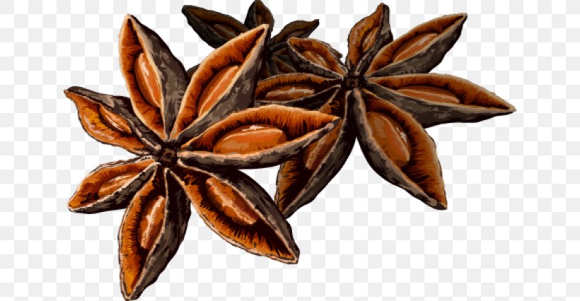 Star Anise Spice Clip Art, PNG, 640x426px, Star Anise, Anise, Bay Leaf, Cardamom, Cinnamon Download Free