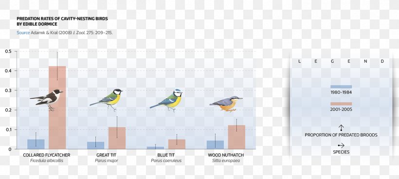 Bird Climate Change Chart European Pied Flycatcher Global Warming, PNG, 1364x613px, Bird, Annual Cycle, Area, Bird Migration, Brand Download Free