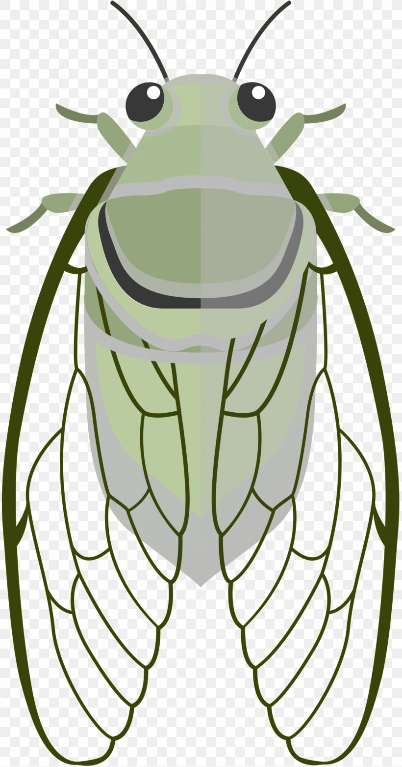 Insect Clip Art Bee Image Vector Graphics, PNG, 1411x2687px, Insect, Ant, Bee, Bug, Cartoon Download Free