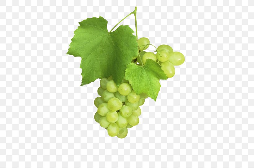 Sultana Common Grape Vine Grape Juice Fruit, PNG, 435x541px, Sultana, Common Grape Vine, Extract, Food, Fruit Download Free