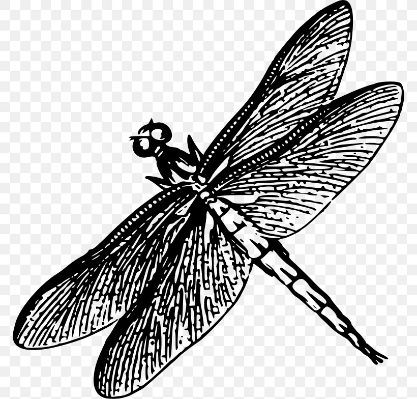 Dragonfly Insect Drawing Poster Clip Art, PNG, 770x784px, Dragonfly, Arthropod, Artwork, Black And White, Brush Footed Butterfly Download Free