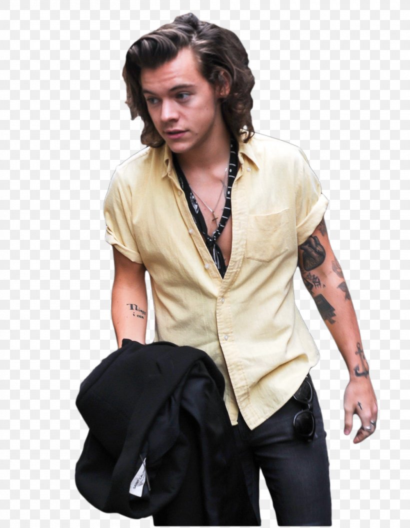 Harry Styles One Direction The X Factor, PNG, 1000x1290px, Watercolor, Cartoon, Flower, Frame, Heart Download Free
