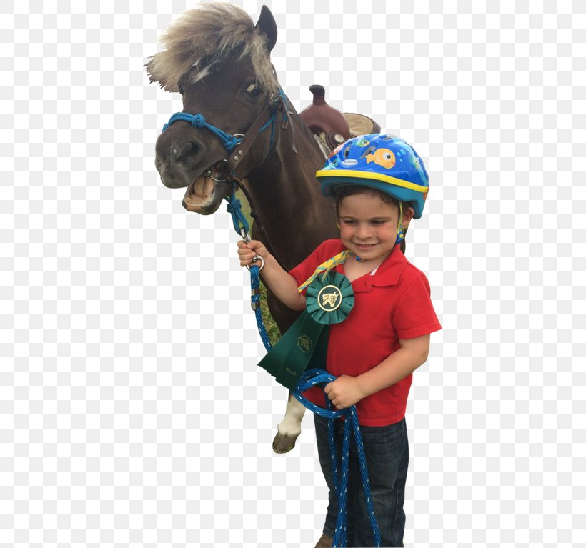 Horse Care Halter Rein Headgear, PNG, 419x767px, Horse, Equestrian, Halter, Headgear, Horse Care Download Free