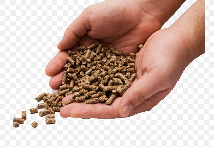 Pellet Fuel Biomass Briquettes Boiler, PNG, 749x565px, Pellet Fuel, Ash, Biomass, Biomass Briquettes, Boiler Download Free