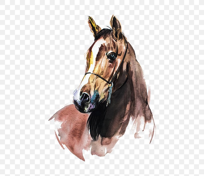 Arabian Horse Watercolor Painting Art, PNG, 550x707px, Arabian Horse, Art, Artist, Bridle, Canvas Download Free