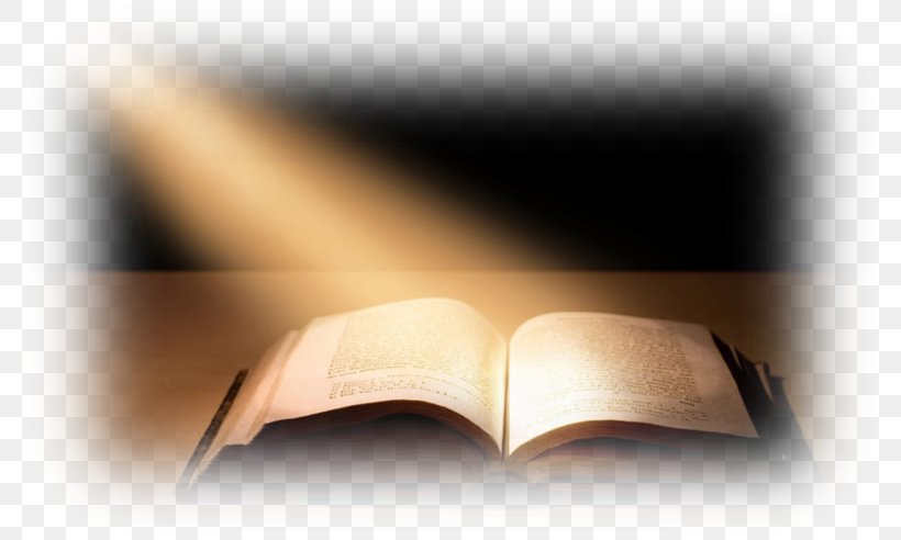 Bible Study The Message Religious Text, PNG, 784x492px, Bible, Bible Study, Biblical Inspiration, Brand, Christian Church Download Free