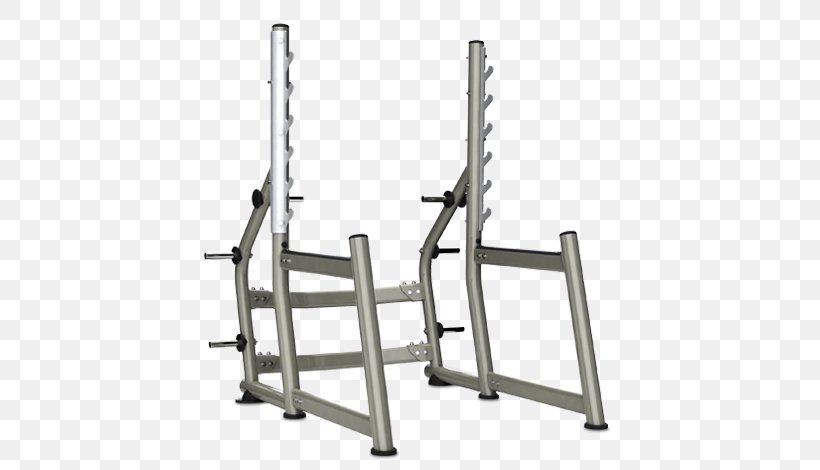 Power Rack Fitness Centre Squat Physical Fitness Bench Press, PNG, 690x470px, Power Rack, Barbell, Bench, Bench Press, Exercise Equipment Download Free