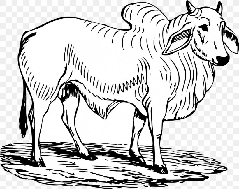 Angus Cattle Hereford Cattle Brahman Cattle Bull Clip Art, PNG, 909x720px, Angus Cattle, Animal Figure, Black And White, Blog, Brahman Cattle Download Free