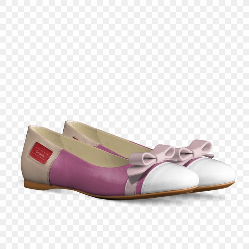 Ballet Flat Shoe Footwear Sandal, PNG, 1000x1000px, Watercolor, Cartoon, Flower, Frame, Heart Download Free
