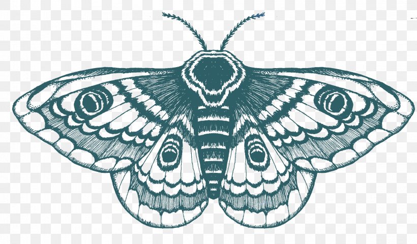 Butterfly Drawing T-shirt Moth Tattoo, PNG, 2314x1355px, Butterfly, Animal, Art, Arthropod, Artwork Download Free