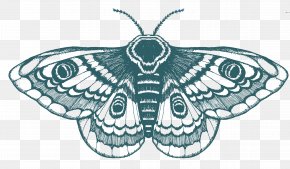 Luna Moth Tattoo Drawing Geometry Png 500x726px Luna Moth Actias Art Artwork Black And White Download Free