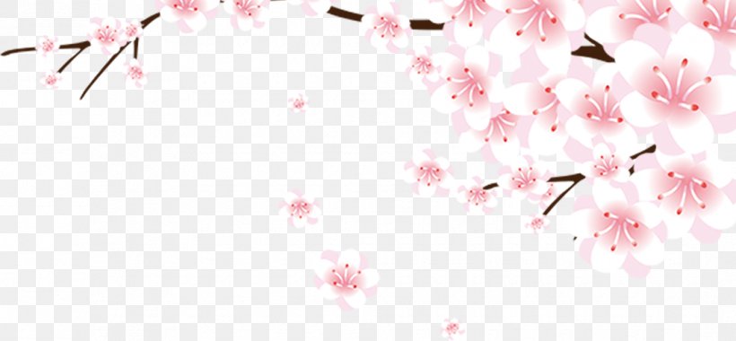 Cherry Blossom Download Computer File, PNG, 1070x496px, Cherry Blossom, Blossom, Branch, Floral Design, Flower Download Free