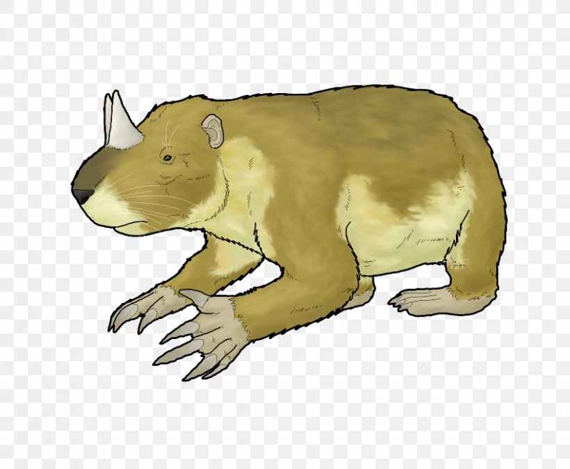 Horned Gopher Macropodidae Bear Animal Hamster, PNG, 850x700px, Horned Gopher, Animal, Animal Shelter, Archosaur, Bear Download Free