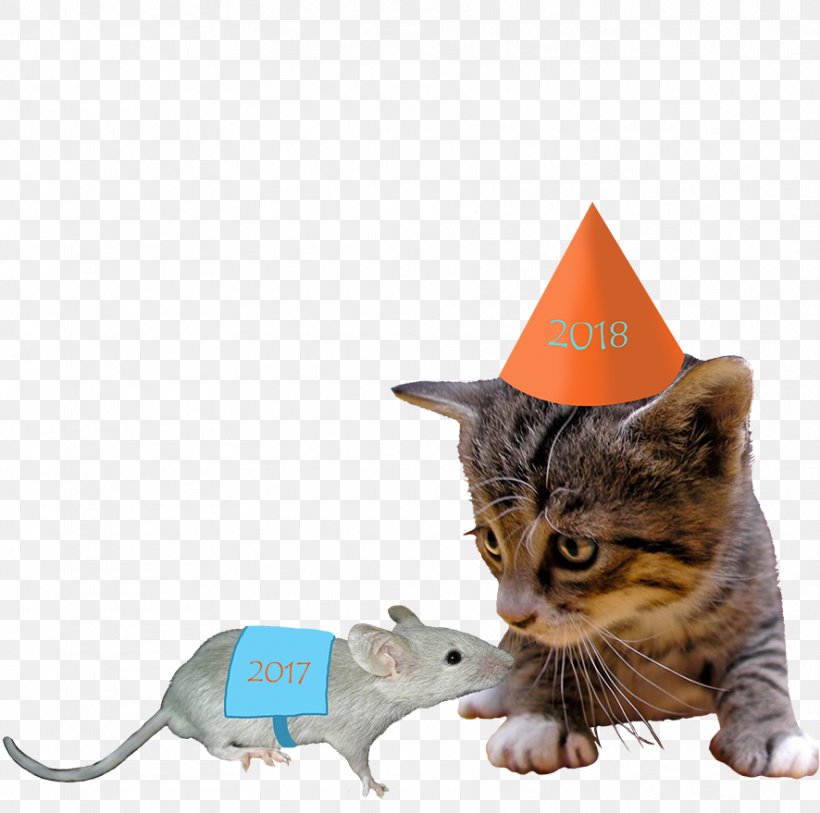 Kitten Cat New Year's Day New Year's Eve, PNG, 886x879px, 2017, 2018, Kitten, Cat, Cat And Mouse Download Free