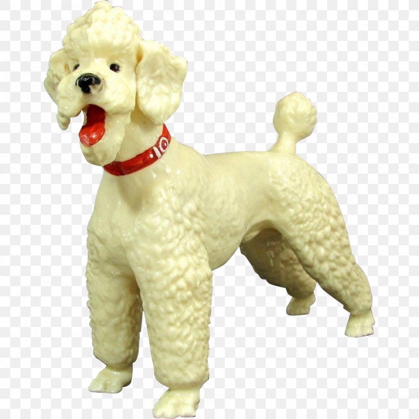 Standard Poodle Miniature Poodle Toy Poodle Goldendoodle Lagotto Romagnolo, PNG, 1037x1037px, Standard Poodle, Breed, Carnivoran, Companion Dog, Dog Download Free