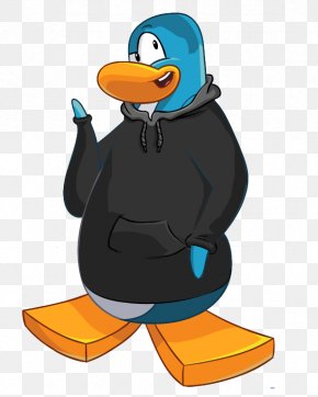 Penguin - Club Penguin Bird Southern Rockhopper Penguin King Penguin PNG
