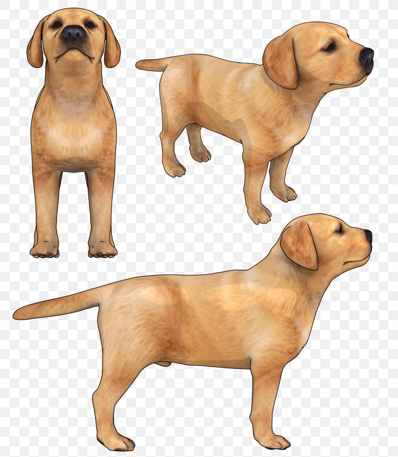 Golden Retriever Background, PNG, 768x942px, Bulldog, Ancient Dog Breeds, Animal, Animal Figure, Breed Download Free