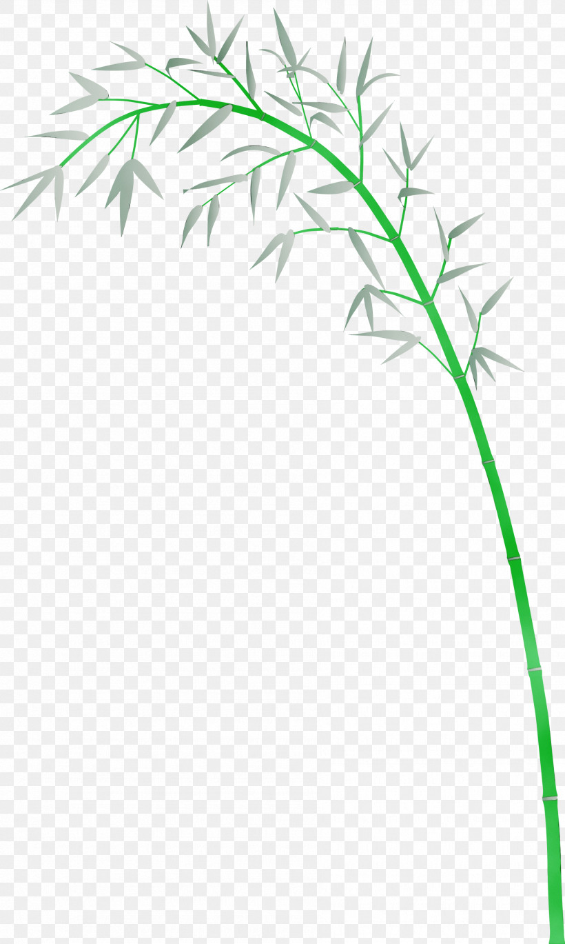 Grass Plant Leaf Plant Stem Grass Family, PNG, 1796x3000px, Bamboo, Elymus Repens, Flower, Grass, Grass Family Download Free