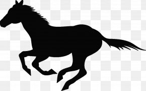Horse - Horse Wall Decal Sticker Cattle PNG