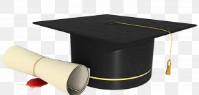Plastic Graduation - New School PNG