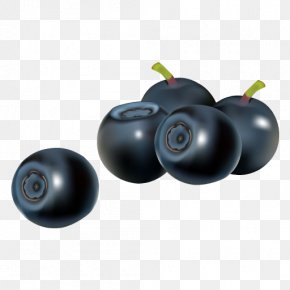 Fooddrink - Product Vector Graphics European Blueberry Price PNG