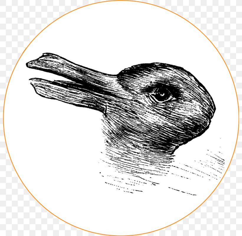 Rabbit–duck Illusion Yanny Or Laurel, PNG, 800x800px, Duck, Beak, Bird, Black And White, Cognition Download Free