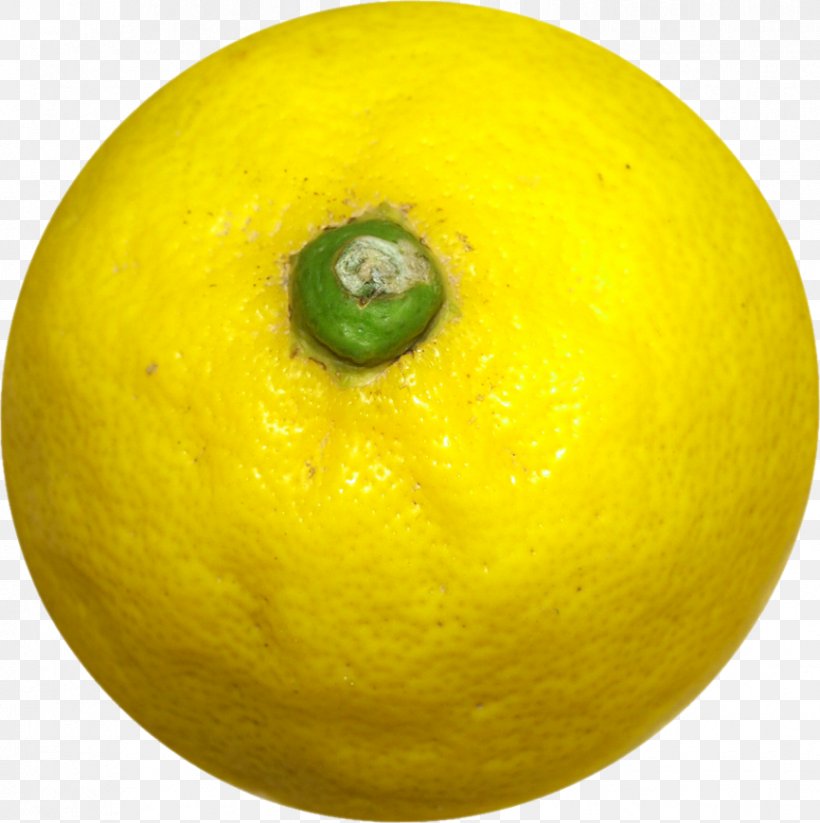 Sweet Lemon Persian Lime Key Lime Citron, PNG, 866x870px, Lemon, Acid, Bitter Orange, Citric Acid, Citron Download Free