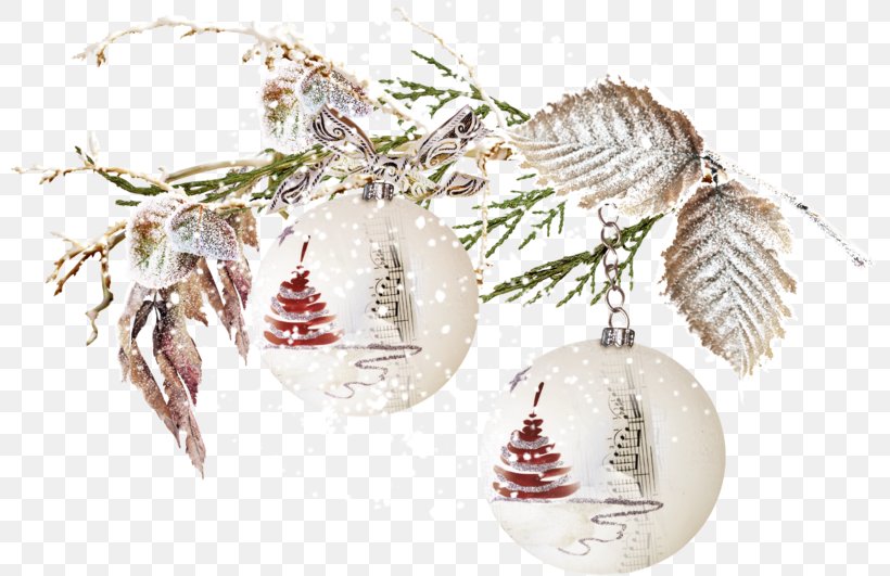 Christmas Ornament Santa Claus Christmas Day New Year Christmas Tree, PNG, 800x531px, Christmas Ornament, Branch, Christmas Day, Christmas Decoration, Christmas Eve Download Free