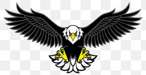 Eagles Logo - Illustration Of Spread-Eagle Design In Bold Colors PNG