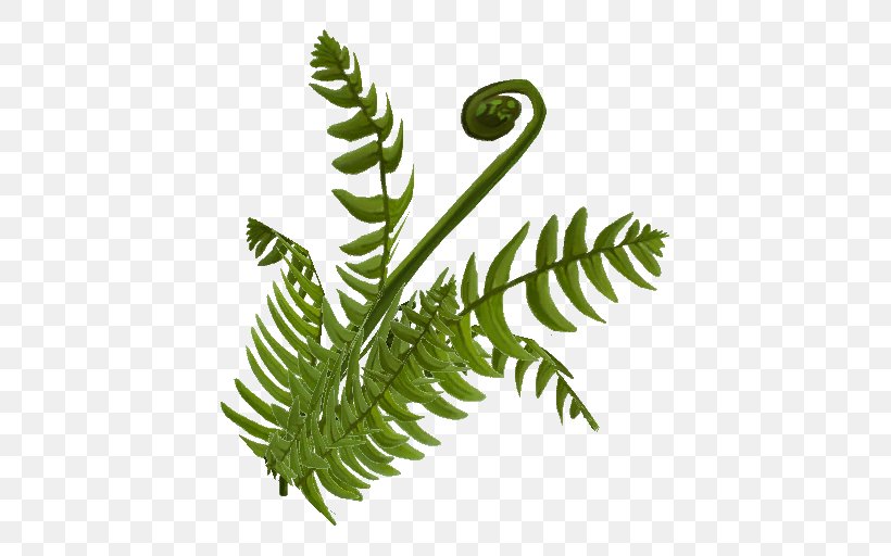 Fern Plant Stem Leaf Equisetum, PNG, 512x512px, Fern, Equisetum, Ferns And Horsetails, Fiddlehead Fern, Fireflies Download Free