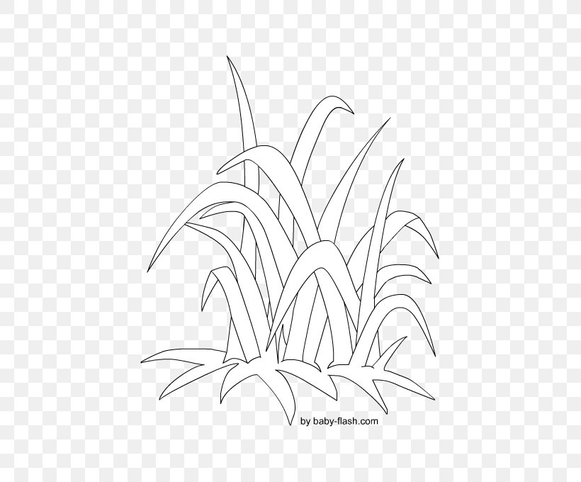 Plant Stem Line Art Leaf Sketch, PNG, 567x680px, Plant Stem, Artwork, Black And White, Branch, Drawing Download Free