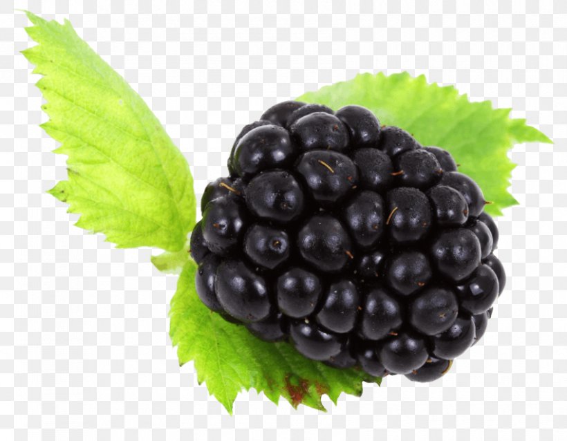 Boysenberry Grape Bilberry, PNG, 850x662px, Boysenberry, Auglis, Berry, Bilberry, Blackberry Download Free