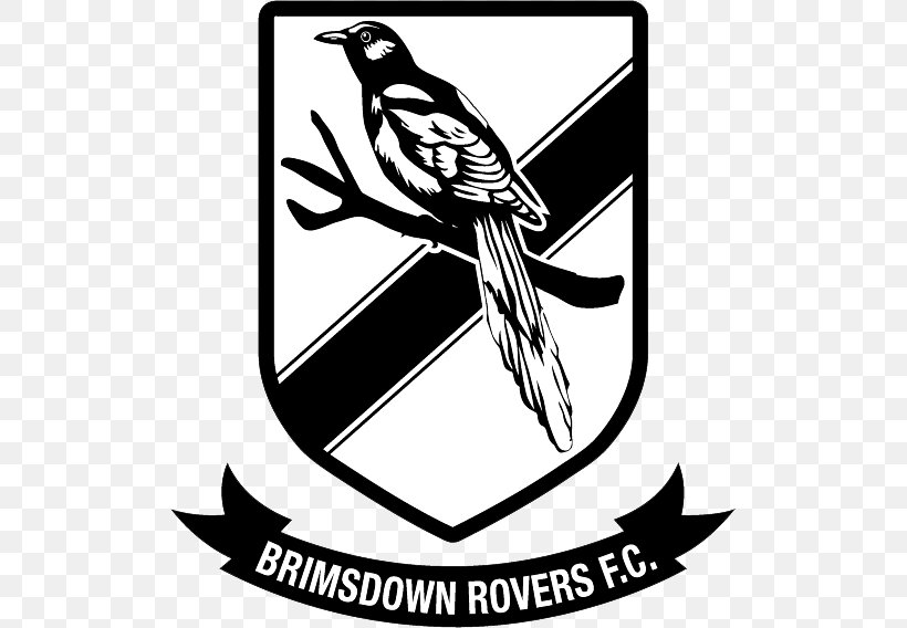 Brimsdown Rovers F.C. Brimsdown Rovers Football Club Blackburn Rovers F.C. Logo, PNG, 511x568px, Blackburn Rovers Fc, Art, Artwork, Beak, Bird Download Free