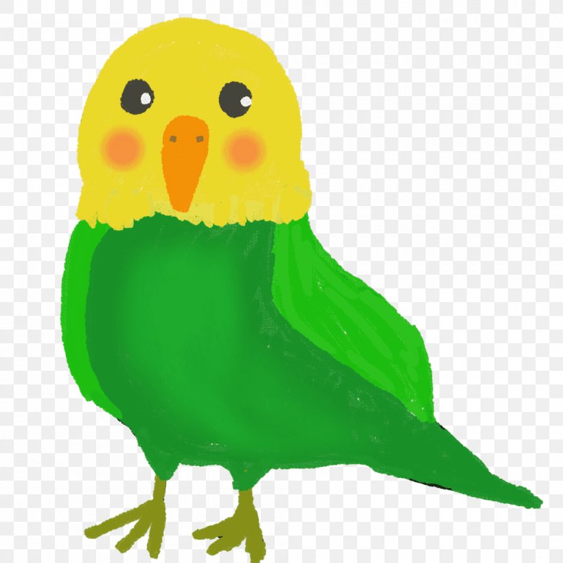 Budgerigar Bird Parrot Parakeet, PNG, 1000x1000px, Budgerigar, Art, Beak, Bird, Bird Of Prey Download Free