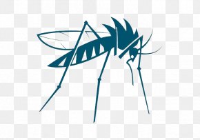 Mosquito - Mosquito Insect Vector Bed Bug PNG