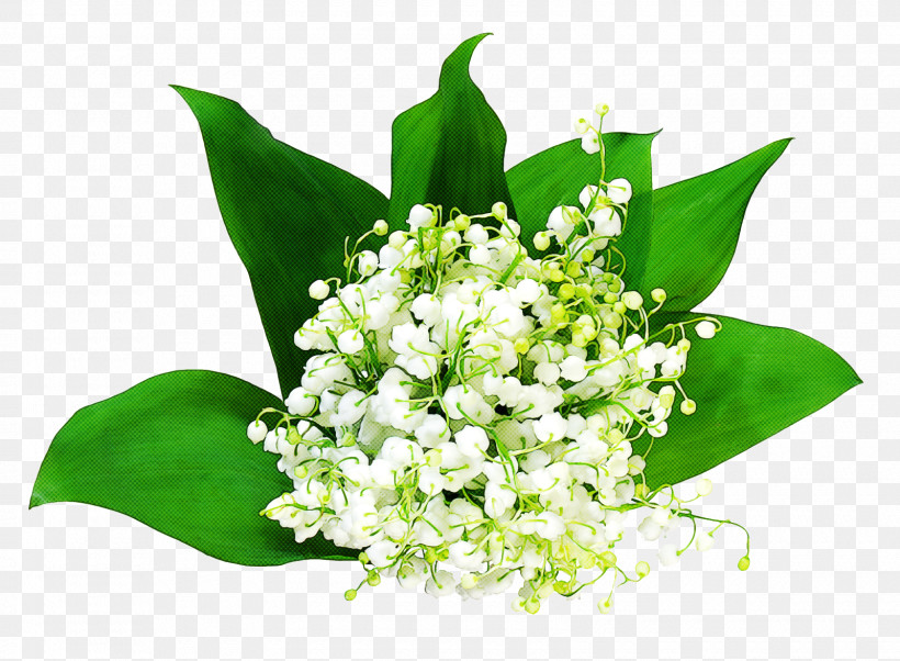 Floral Design, PNG, 1600x1176px, Lily Of The Valley, Aesthetics, Annees 60, Cut Flowers, Floral Design Download Free
