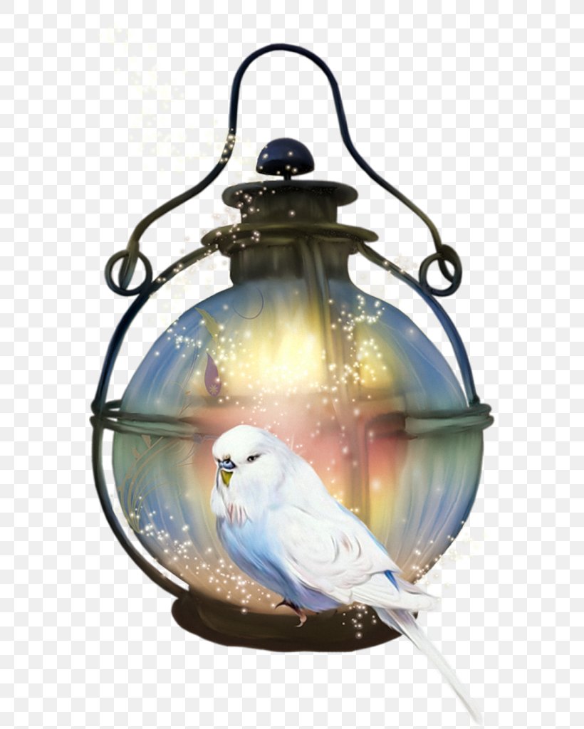 Light Paper Lantern Lamp, PNG, 570x1024px, Light, Bird, Electric Light, Flashlight, Glass Download Free
