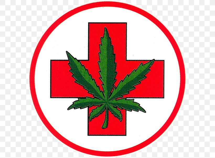 Medical Cannabis Decal Sticker Cannabis Smoking, PNG, 602x602px, 420 Day, Cannabis, Bumper Sticker, Cannabidiol, Cannabis Smoking Download Free