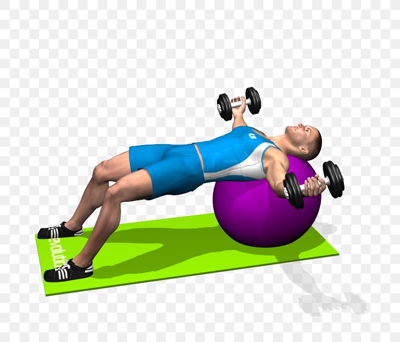 Medicine Balls Exercise Balls Fly Dumbbell, PNG, 700x700px, Medicine Balls, Arm, Balance, Ball, Bench Download Free