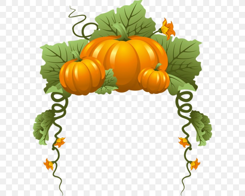 Pumpkin Vine Vegetable, PNG, 600x659px, Pumpkin, Auglis, Autumn, Calabaza, Cucumber Gourd And Melon Family Download Free