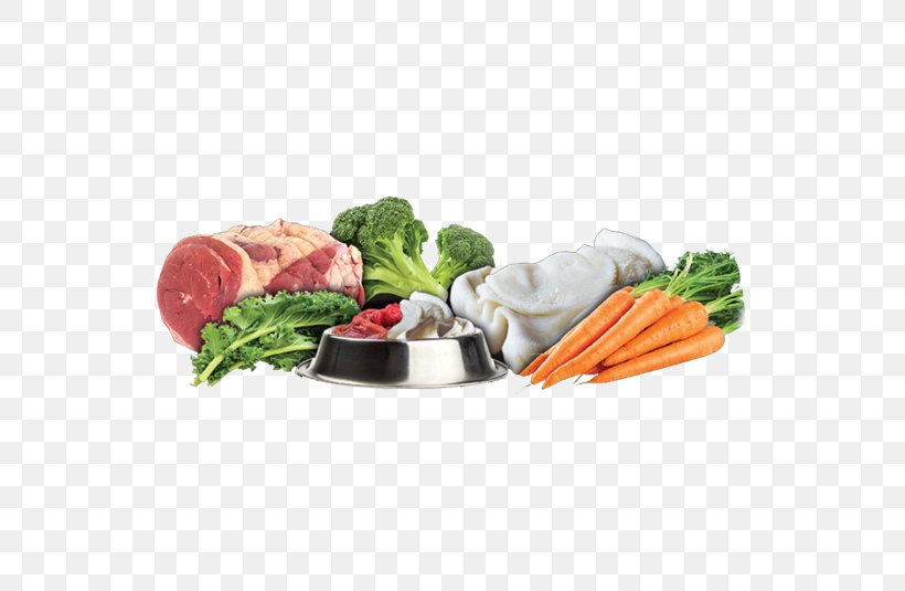 Raw Foodism Dog Raw Feeding Diet, PNG, 535x535px, Raw Foodism, Apple Cider Vinegar, Cat, Cuisine, Diet Download Free