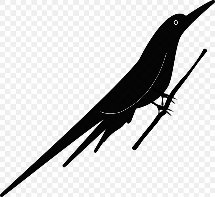 Bird Beak Drawing Clip Art, PNG, 958x883px, Bird, Animal, Beak, Black And White, Branch Download Free