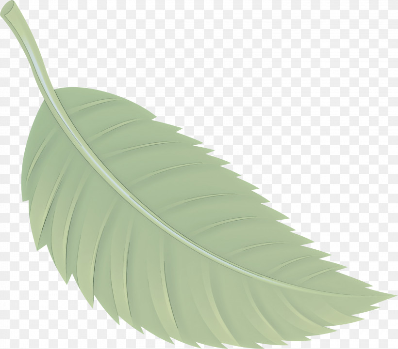 Feather, PNG, 3000x2639px, Leaf, Feather, Flower, Plant, Tree Download Free