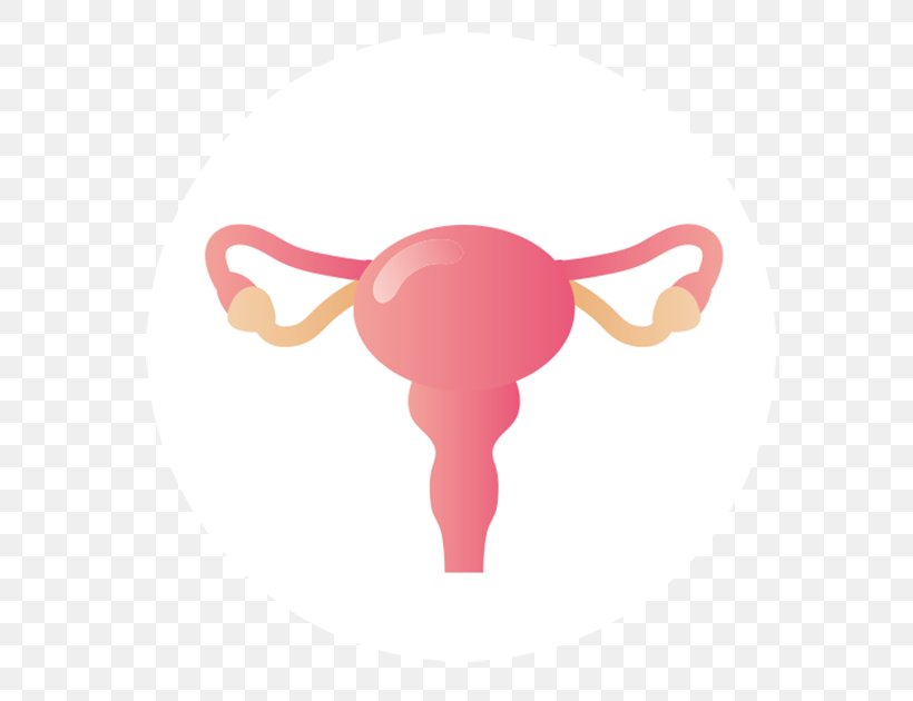 Hospital Cartoon, PNG, 630x630px, Uterus, Cancer, Cervical Cancer, Disease, Empyema Download Free