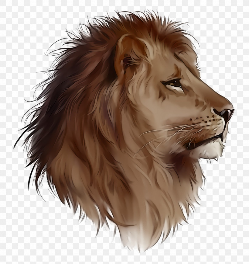 Lion Hair Masai Lion Wildlife, PNG, 1944x2060px, Lion, Hair, Masai Lion, Wildlife Download Free