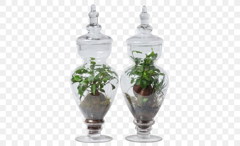 Vase Glass Flowerpot Houseplant, PNG, 500x500px, Vase, Cactaceae, Cactus Garden, Cyclamen, Drinkware Download Free