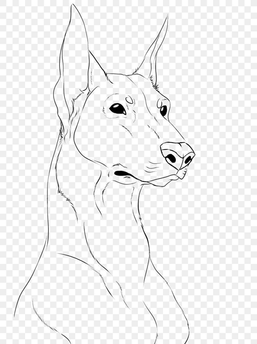 Dobermann German Shepherd Drawing Line Art Sketch, PNG, 730x1095px, Dobermann, Art, Artwork, Black And White, Carnivoran Download Free