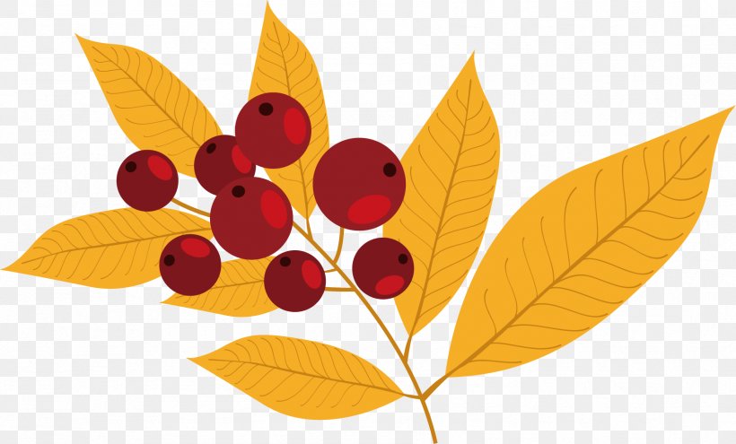 Frutti Di Bosco Auglis Autumn, PNG, 1794x1084px, Frutti Di Bosco, Acorn, Auglis, Autumn, Berry Download Free